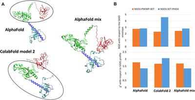 Structural insights into the C-terminus of the histone-lysine N-methyltransferase NSD3 by small-angle X-ray scattering